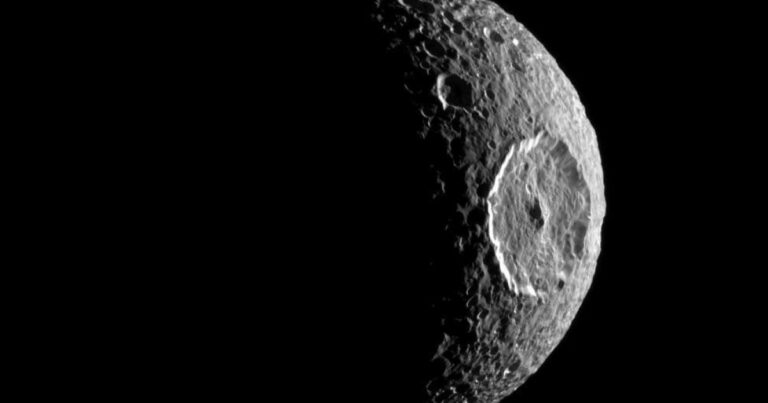 Pia12739 modest