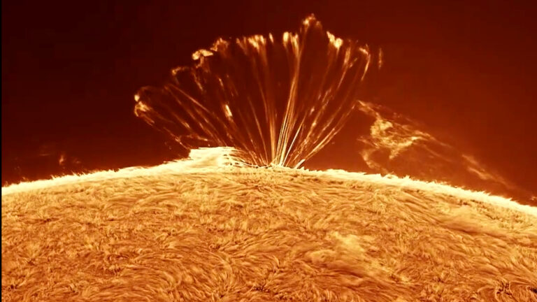 close up view of the sun showing large filament like structure fanning out from the sun and reaching up, with the plasma then falling back to the sun.