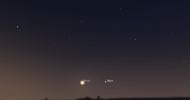 Venus spica09072026