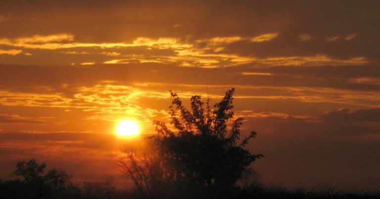 Autumn sunrise