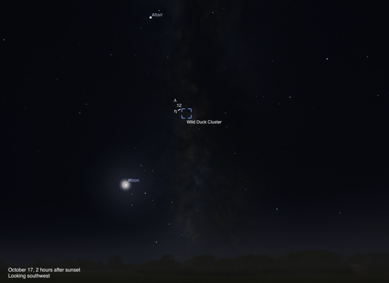 Simulated view of a dark evening sky, dated October 17, 2026, 2 hours after sunset, looking southwest. A thin crescent Moon glows low at lower left, with the Wild Duck Cluster marked by a blue bracket at center, near the stars lambda, 12, and eta, set against the faint band of the Milky Way. Altair is labeled at upper left.