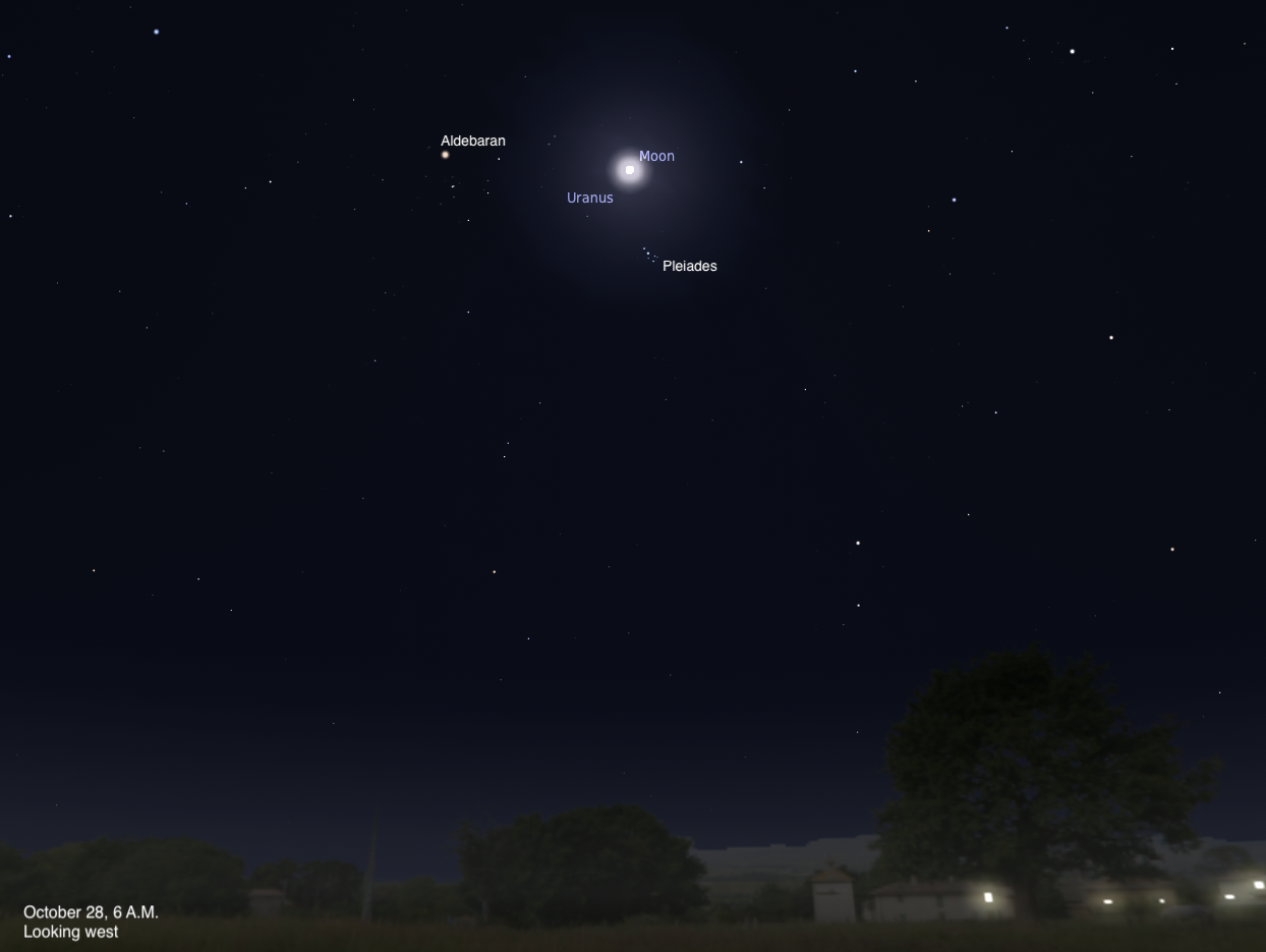 Simulated view of a dark predawn sky over silhouetted trees and buildings with a few lit windows, dated October 28, 2026, 6 A.M., looking west. The Moon glows within a bluish halo at upper center, with Uranus labeled just below and left of it and the Pleiades labeled just below. Aldebaran is labeled at upper left.