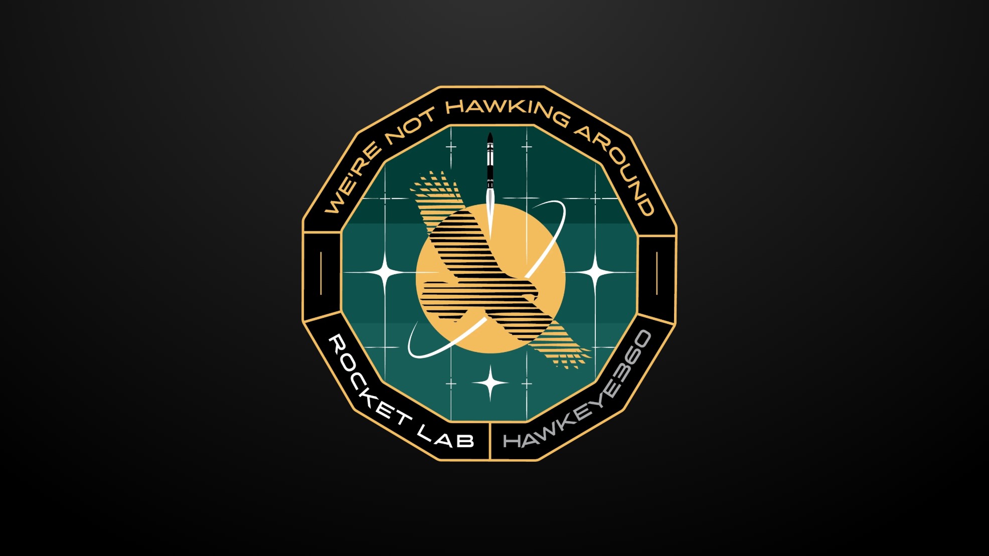 a circular mission patch featuring a hawk in front of a yellow sun with the words "We're Not Hawking Around" around the patch's border