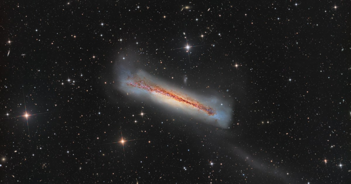 Dave doctor hamburger galaxy ngc 3628