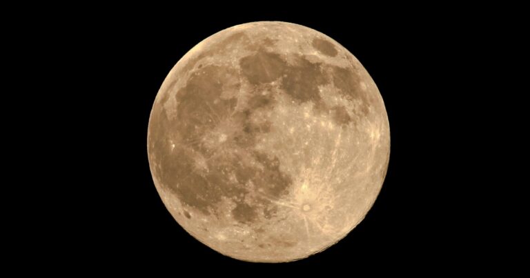 Hunters moon 1