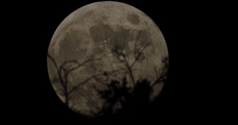 Hunters moon 2