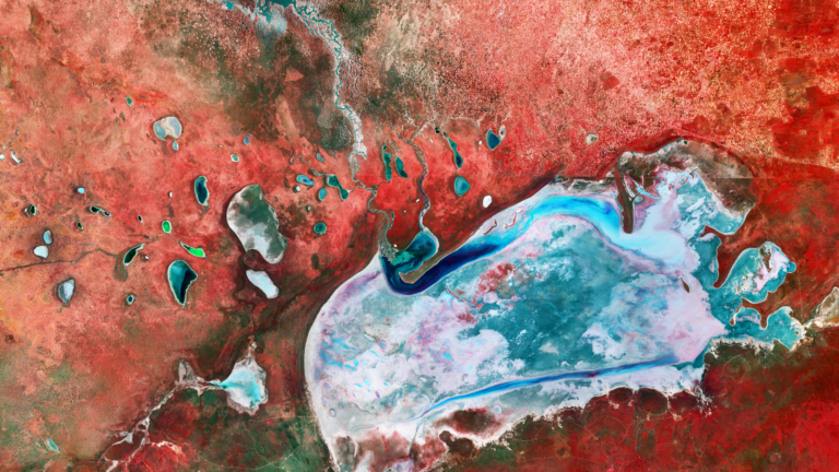 Namibia's largest salt pan, from space