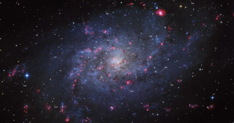 M33