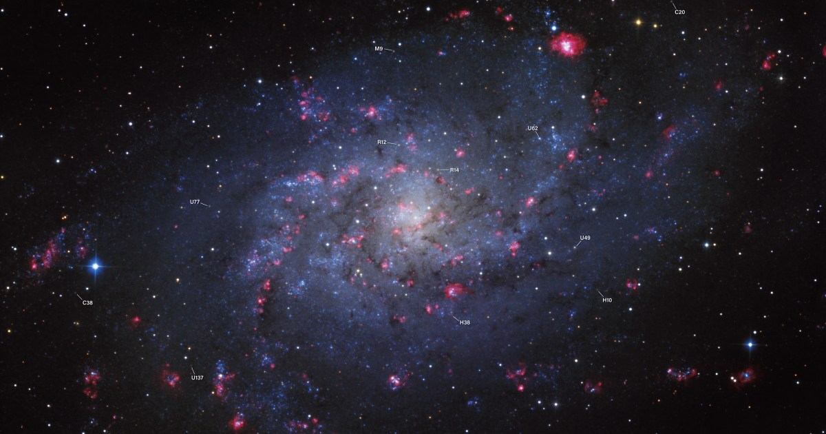 M33