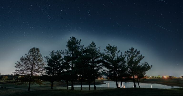 Orionid composite