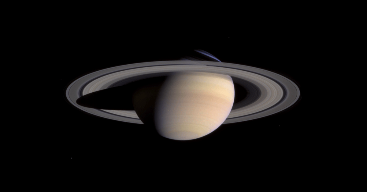 Pia05389 horizontal