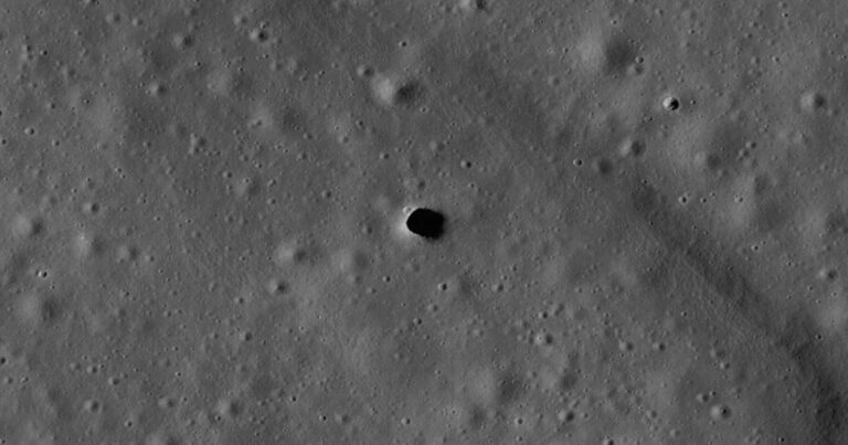Pia12954