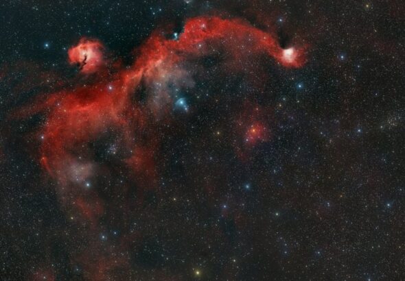 This image of the Seagull Nebula from amateur astrophotographer Arnaud Geoffroy shows the complete Seagull Nebula. It places ComCam's image in context, and illustrates how it represents the Seagull's head. Image Credit: By Kropernic - Own work, CC BY-SA 4.0, https://commons.wikimedia.org/w/index.php?curid=196401215