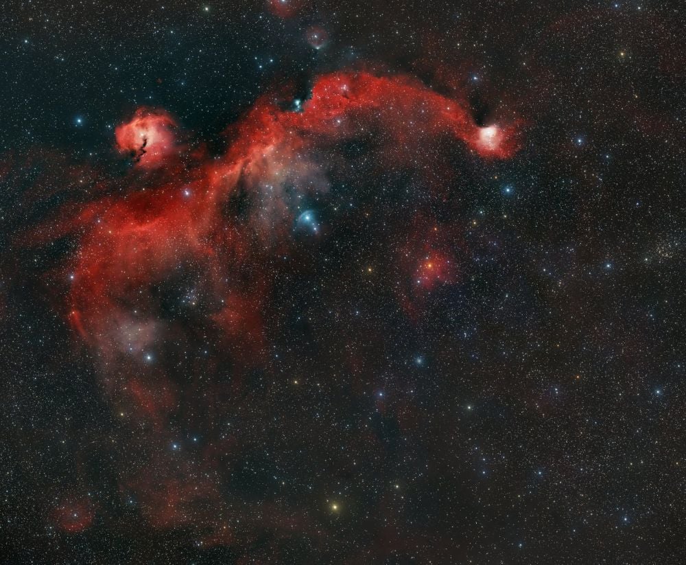 This image of the Seagull Nebula from amateur astrophotographer Arnaud Geoffroy shows the complete Seagull Nebula. It places ComCam's image in context, and illustrates how it represents the Seagull's head. Image Credit: By Kropernic - Own work, CC BY-SA 4.0, https://commons.wikimedia.org/w/index.php?curid=196401215