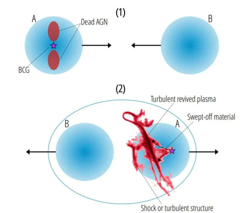 This schematic illustrates the formation scenario presented in the paper. It shows "two stages of a head-on collision between two clusters, A and B, in which the already aged (or “dead”) nonthermal plasma was injected by the BCG of cluster A prior to core passage. Following core passage, corresponding to the phase in which we currently observe the system (possibly within a few 10^8 yr after first passage, based on the disturbed X-ray morphology and the age of the radio plasma), clusters A and B move away from each other in opposite directions," the authors write. Swept off material is left behind, and in the space between A and B, the gas is stretched and compressed, creating the elongated shape observed in radio. The ICM in the region is turbulent from all this activity, and it creates the complex morphology and Treble Clef shape. Image Credit: Botteon et al. 2026. A&A.