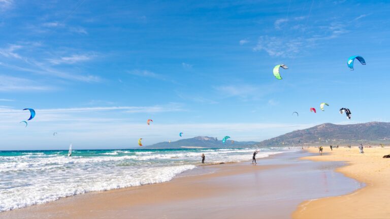 A sandy beach with lots of colorful kitesurfing kites under blue sunny sky.
