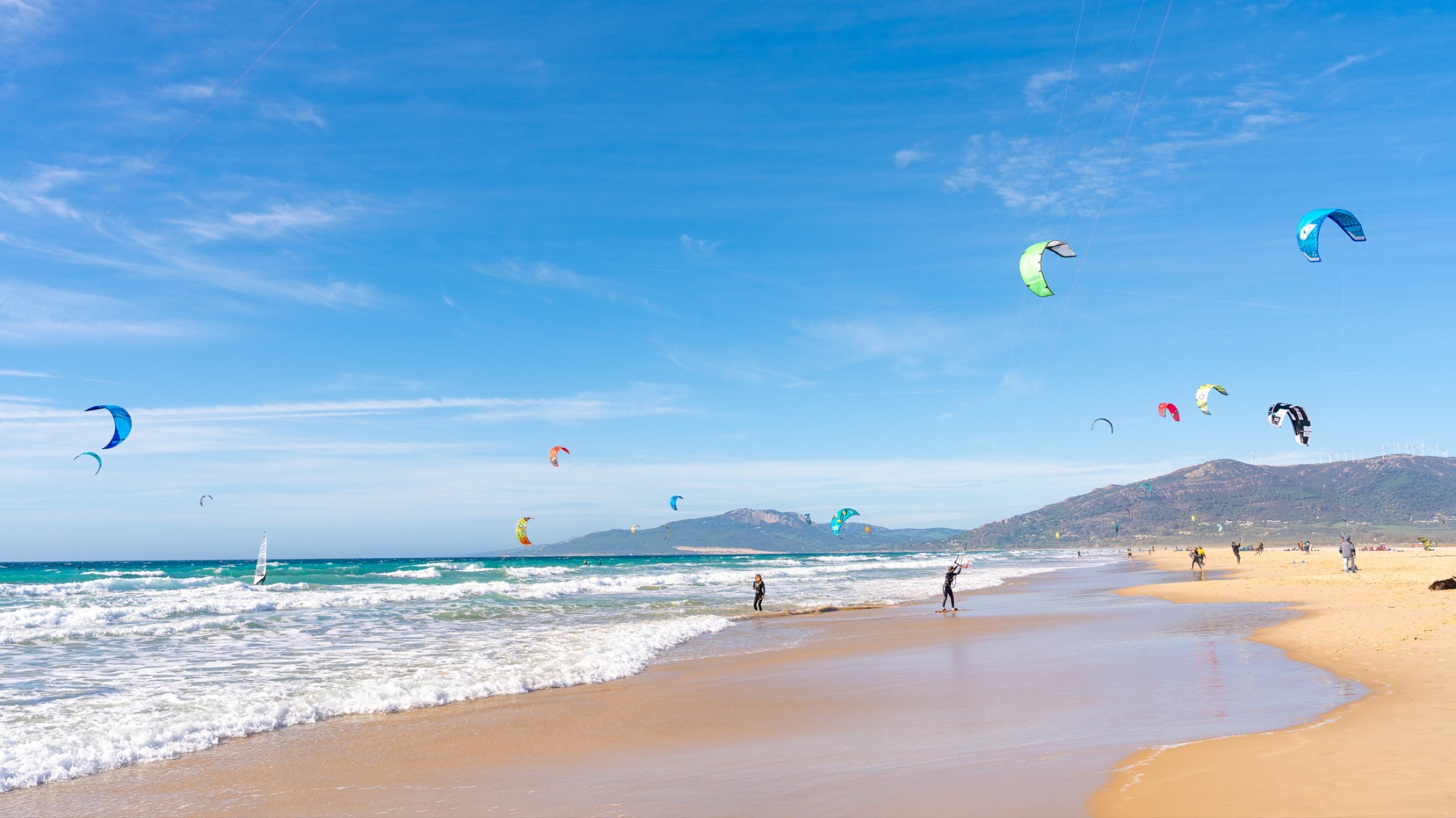 A sandy beach with lots of colorful kitesurfing kites under blue sunny sky.