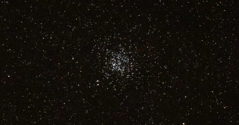 Wild duck cluster