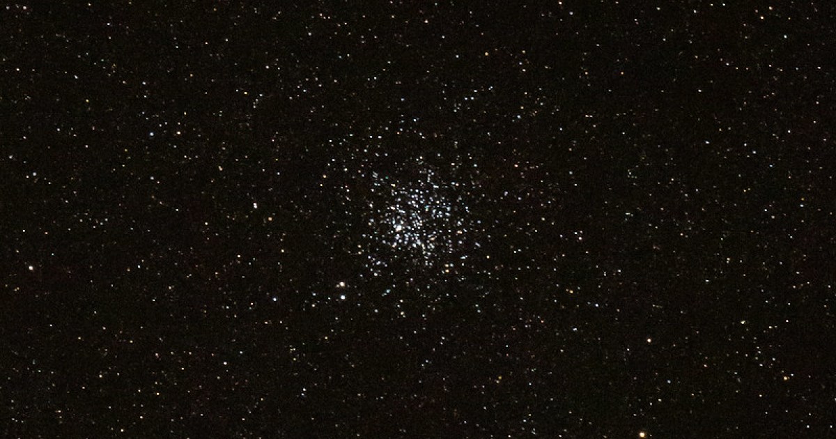 Wild duck cluster